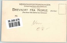 Oslo Kristiania Vogelberg Motiv Norwegen Foto AK