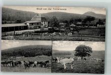 36037 W6400 Fulda 1920 - Fohlenweide Rinderweide