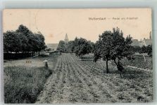 67112 W6704 Mutterstadt - Am Friedhof Obstbäume Feld
