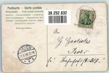 Zwei Vögel unter Fliederbusch Poesie Rotkehlchen 1906 Prägedruck