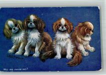 Wain, Louis 1910 BOAKC
