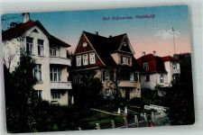23611 W2407 Bad Schwartau 1917 Foto AK Riesebusch