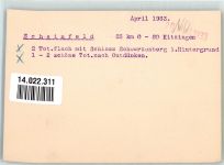 91443 W8533 Scheinfeld 1933 Foto AK Fliegeraufnahme Schloss Schwarzenberg Original aufmontierte Verlagsmusterkarte