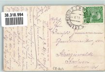 Decin Tetschen-Bodenbach 1911 Foto AK Elbe Raddampfer Panorama
