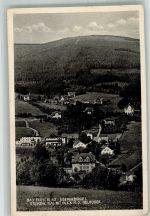 Bad Flinsberg Swieradow-Sdroj 1932 Foto AK Isergebirge Steinbachtal