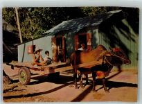 Victoria Foto AK Ochsenkarren Seychellen