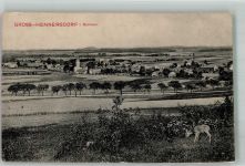 02747 O8701 Großhennersdorf 1910 - Reh