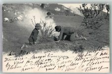Schafe Hirte 1903