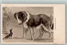 sign. Berkeley, Stanley Gutmütiger Bernhardiner mit zänkischem kleinen Hund Dackel 1908 Künstlerkarte