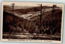 98666 O6113 Masserberg 1926 - Am Rennsteig