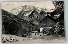 87534 W8974 Oberstaufen - Berghütte unterhalb des Hochgrat