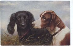 Feld-Spaniel und Pointer, Serie 1233.,Theo Ströfer,sign. Reichert Spaniel um 1910/20