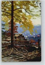 83119 W8201 Obing 1916 - Photochromie Serie 214 Nr. 3553
