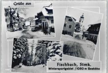 8654 Fischbach - Winter