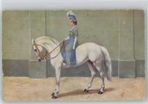 Weisses Pferd Reiten