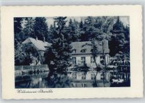 32805 W4934 Leopoldstal , Lippe - Waldgaststätte Pension Silbermühle ex Sammlung Busse