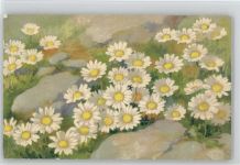 Blumen Verlag Vouga & Cie Nr. 331 - Werbung: Chocolat Suchard - Haller, A. Künstlerkarte