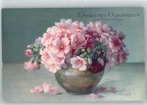 Meissner & Buch Serie 2198 - Geburtstag - Blumen - Haller, A. Künstlerkarte