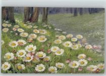 Gänseblumen - Verlag Vouga & Cie Nr. 232 - Haller, A. Künstlerkarte
