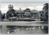48720 W4428 Osterwick , Westf - Schloß Varlar Schwäne