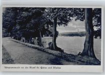 10115 W1000 Berlin - Uferpromenade Havel Gatow Kladow