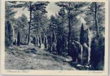 29646 W3045 Hützel - Silbersand
