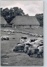 29646 W3045 Wilsede , Kr Soltau