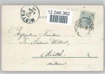 Stiefmütterchen und Vergissmeinnicht, litho Glitzer 1900 AK mit Glitzer