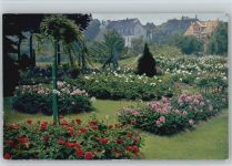 T.S.N. Serie 1270 - Rosenbeete Gartenbau