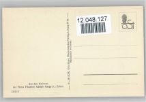 Mamillaria centrcirrha Lem. Nr. 292/XXX Otto Stoye Pflanzenkarten Kaktus