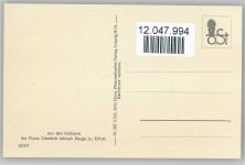 Echinocactus - Nr. 287/XXIX Otto Stoyer Pflanzenkarten Kaktus