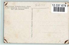 W6531 Niederheimbach b Bingen, am Rhein Knusperhäuschen im Märchenhain, Hänsel und Gretel Hänsel und Gretel
