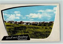 65385 W6220 Presberg , Rheingau