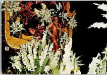 Cote d`azur - Nice 1979 AK Tanzschönheit, Erotik Karneval