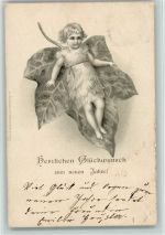 Neujahr - Kind auf einem Efeublatt Metamorphose 1901 Künstlerkarte