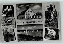 7071 Rust - Restaurant Sifkovits Löffler Säbelschneider Graureiher Rohrdommel Silberreiher Segelboote See