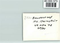 21227 W2106 Bendestorf FOTO KEINE AK Hotel Meinsbur, Fachwerk, Reetdach