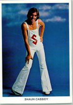 Shaun Cassidy Rock / Pop
