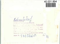 24321 W2322 Behrensdorf b Lütjenburg FOTO KEINE AK Strand