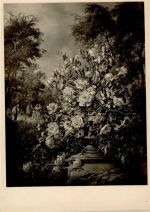 HDK Nr. 457 Photo Hoffmann, sign Fuhrmann - Blumen im Park HDK