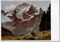 HDK Nr. 255 Photo Hoffmann , sign Compton "Berner Oberland HDK
