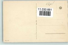 Verlag STZ.F. Nr. 114 - Pfau Geflügel Künstlerkarte