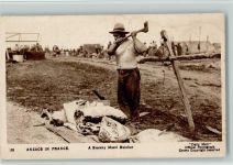 Typen - A Brawny Maori Butcher Wal