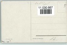 Der Pfau und Hühner signiert Schönian - Geflügel Schönian, A. Künstlerkarte