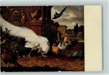 Der weiße Pfau - Gemälde Geflügel Künstlerkarte