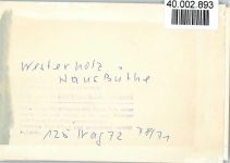 24977 W2391 Westerholz b Langballig FOTO KEINE AK Haus Büthe