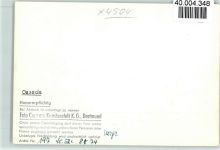 49124 W4504 Oesede FOTO KEINE AK