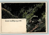 Verlag Velten - Schwarzwaldhaus , litho Daur, H. 1899