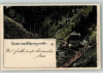 Verlag Velten - Schwarzwaldhaus , litho , sign Daur Daur, H.