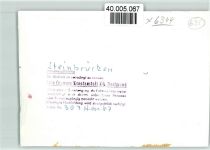 35716 W6344 Steinbrücken , Dillkr FOTO KEINE AK